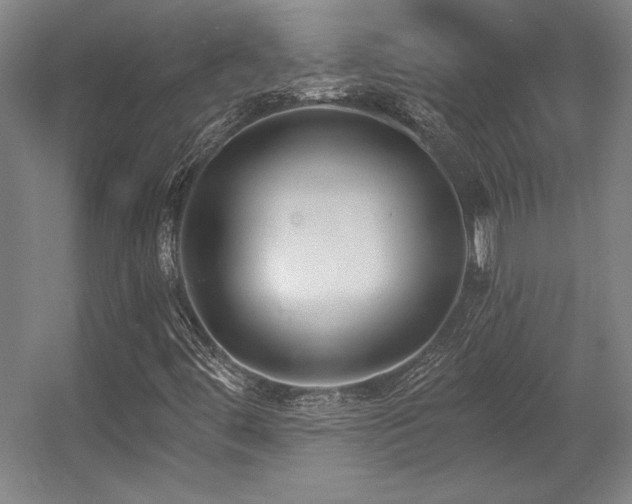 X0000056011444200508191249