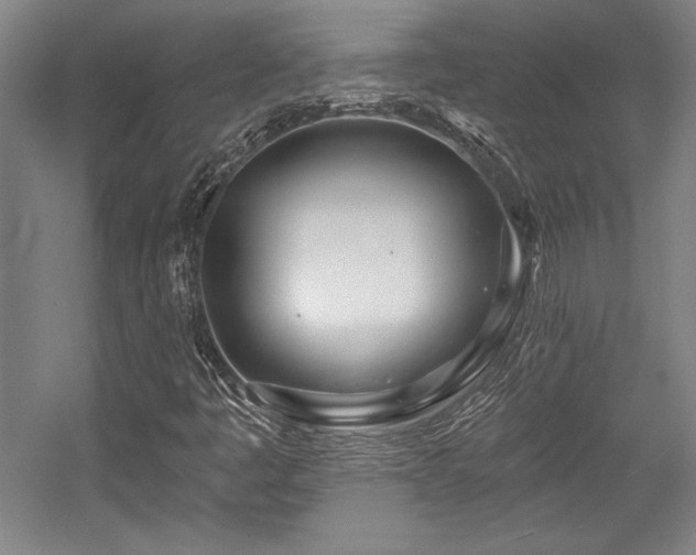 X0000056011445200508191249