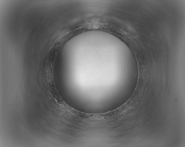 X0000056011446200508191249