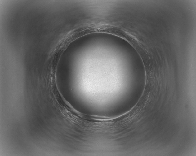 X0000056011447200508191249