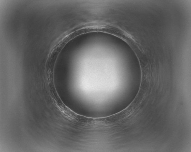 X0000056011448200508191249
