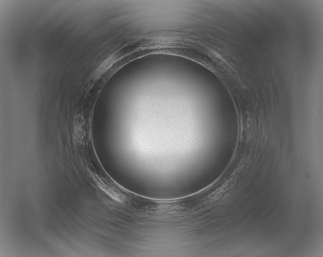 X0000056011449200508191249