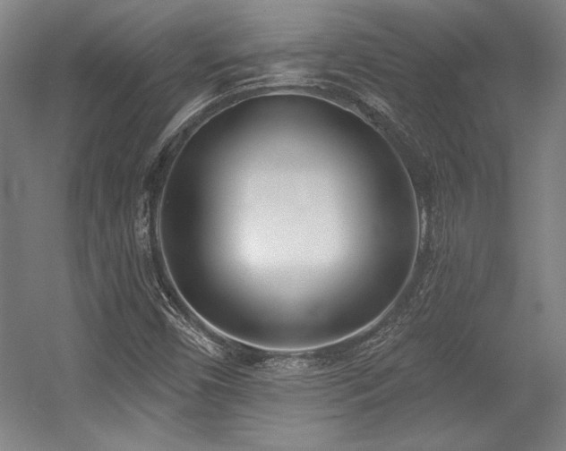 X0000056011450200508191248