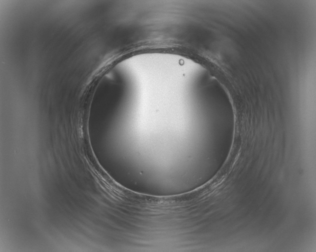 X0000056011451200508191248
