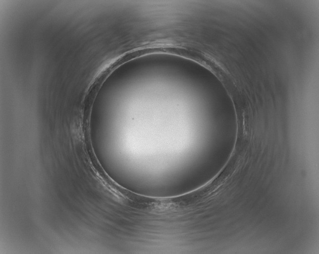 X0000056011452200508191248