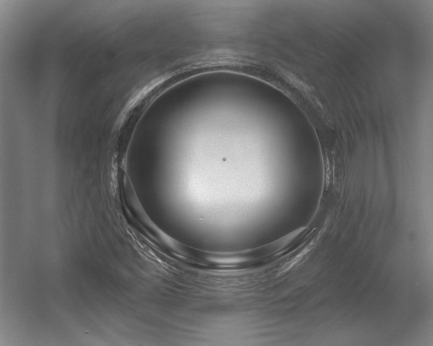 X0000056011453200508191248