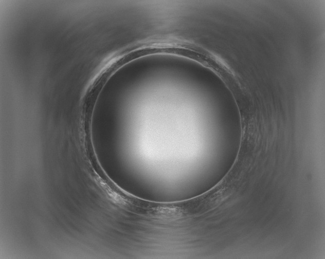 X0000056011456200508191248