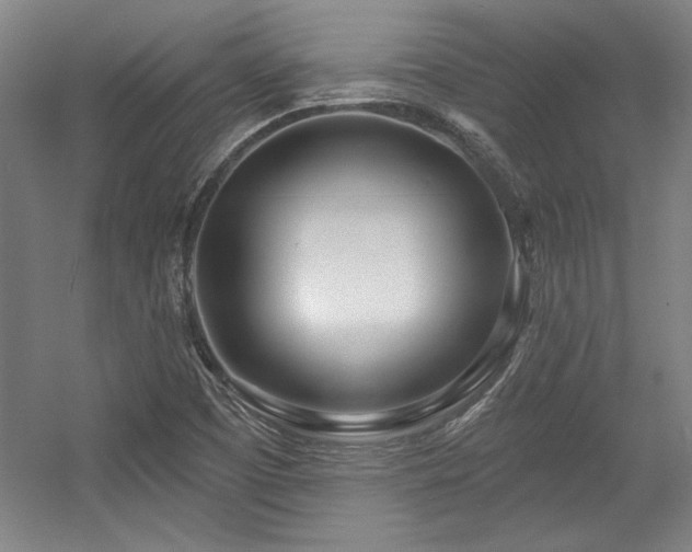 X0000056011457200508191248
