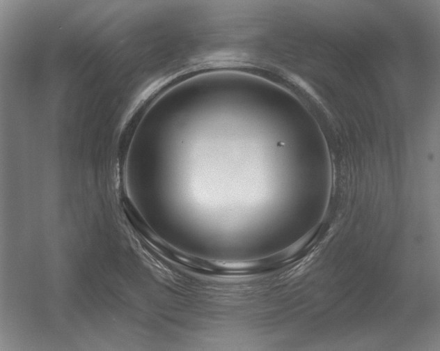 X0000056011461200508191248
