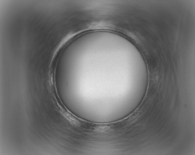 X0000056011462200508191248