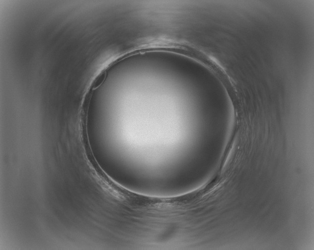 X0000056011463200508191248