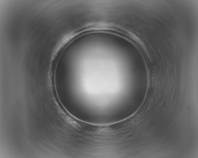 X0000056011464200508191248