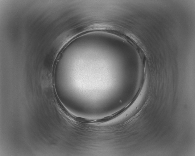 X0000056011465200508191248