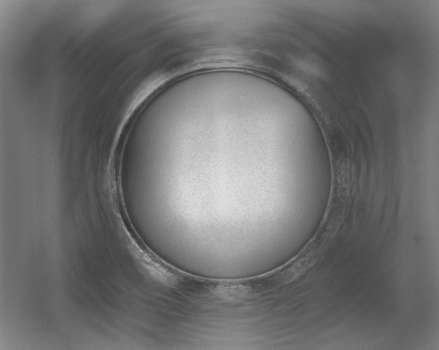 X0000056011466200508191248