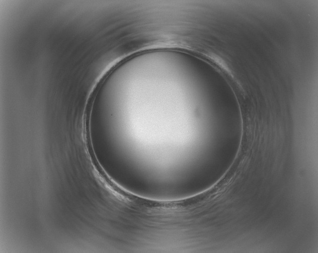 X0000056011468200508191248