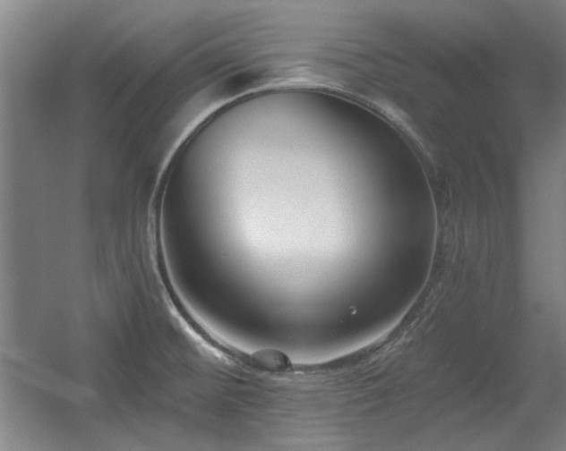 X0000056011476200508191248
