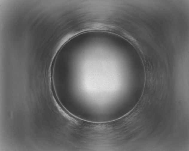 X0000056011479200508191248