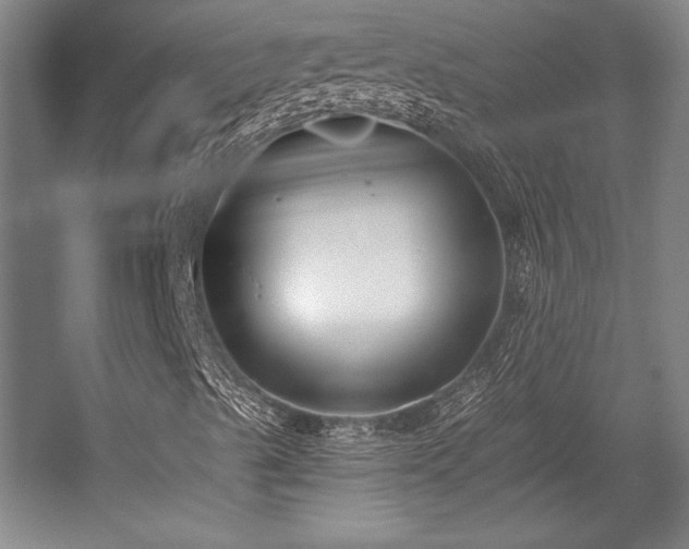 X0000056011489200508191247