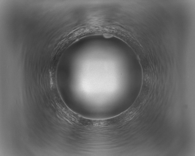 X0000056011490200508191247
