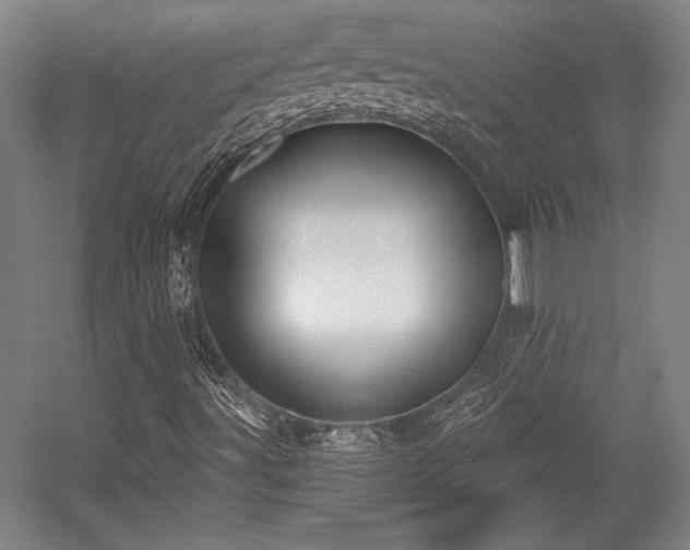X0000056011491200508191247