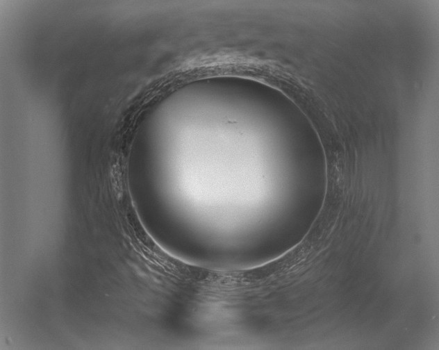 X0000056011493200508191247