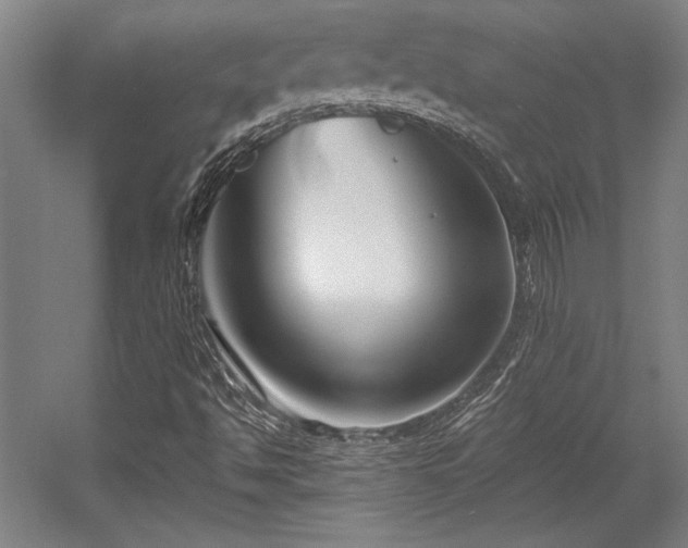 X0000056011494200508191247