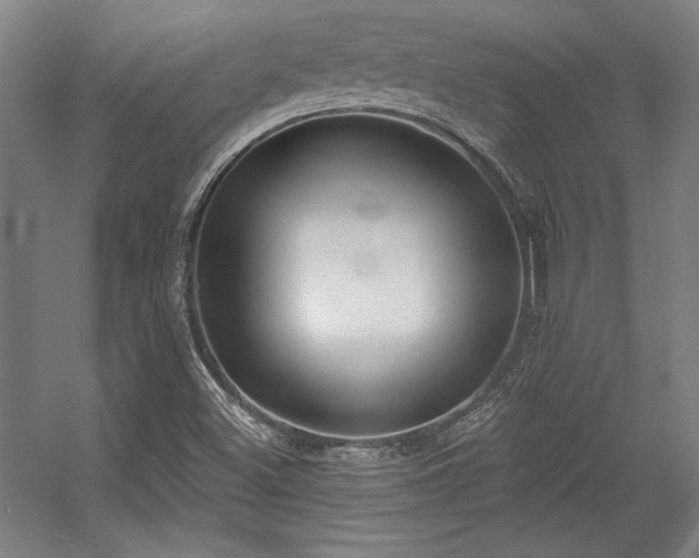 X0000056011500200508191247