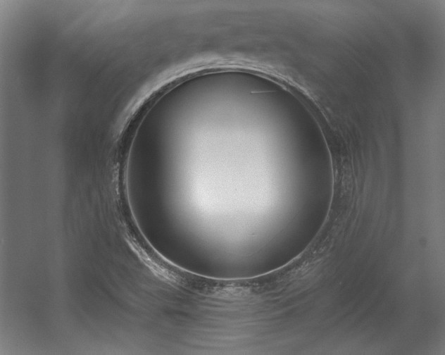 X0000056011503200508191247