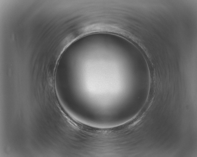 X0000056011529200508191248