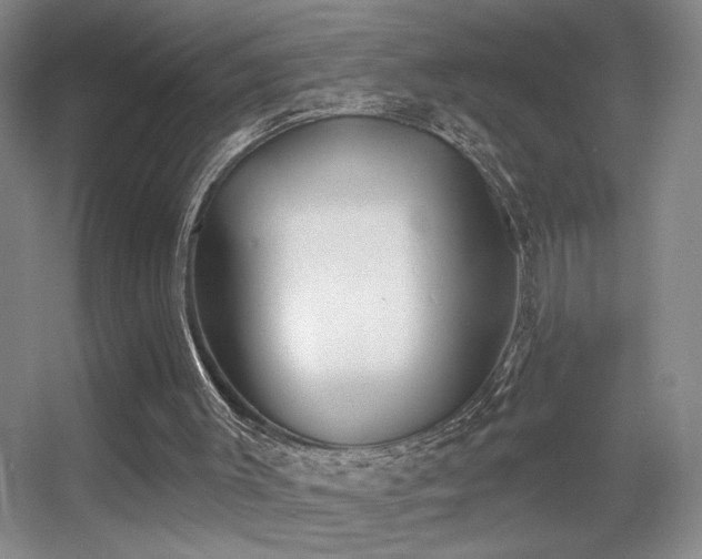 X0000056010003200508221507