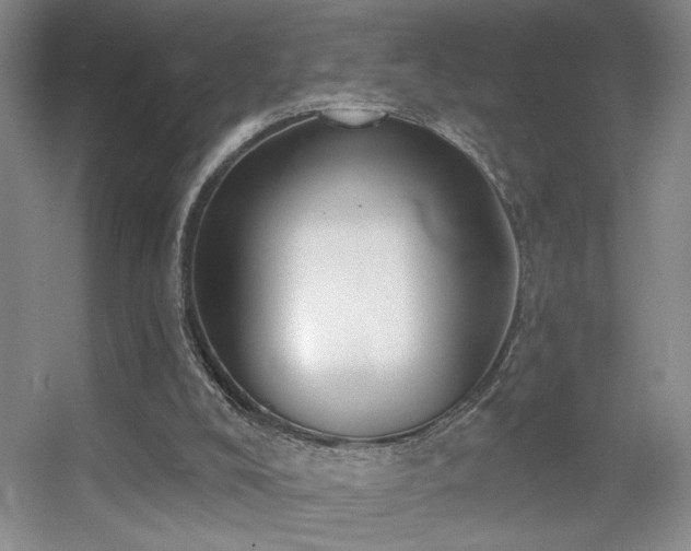 X0000056010008200508221506