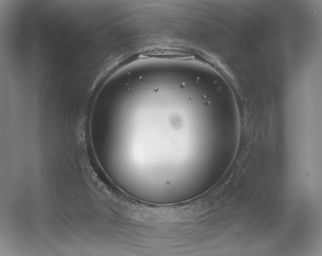 X0000056010010200508221506