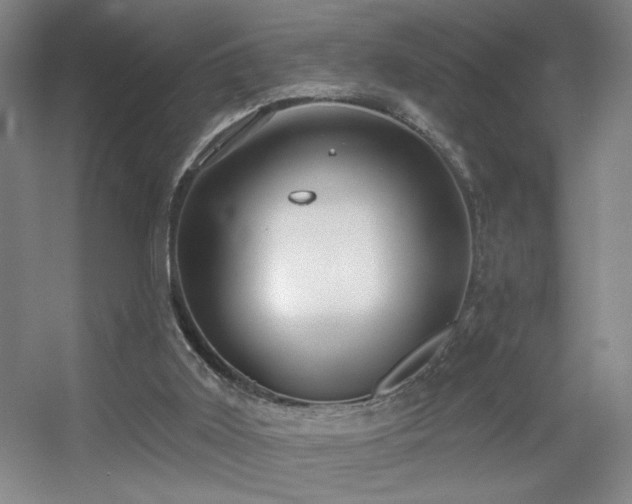 X0000056010011200508221506
