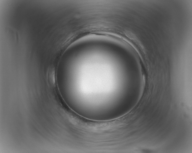X0000056010021200508221506