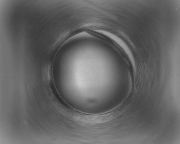 X0000056010023200508221506