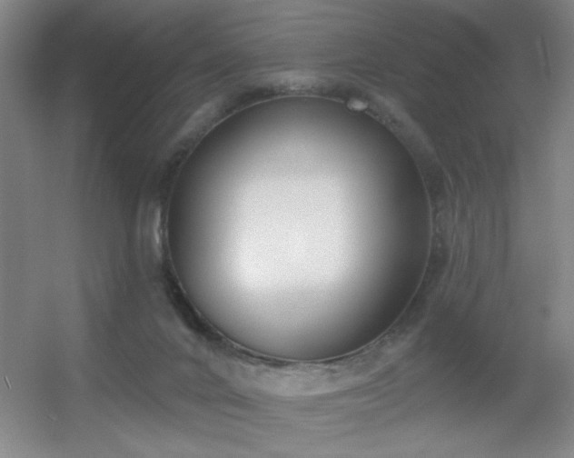 X0000056010024200508221506