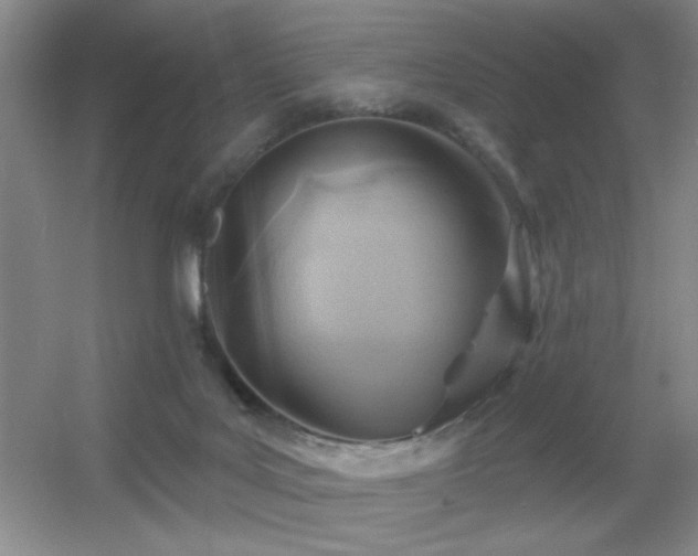 X0000056010027200508221506