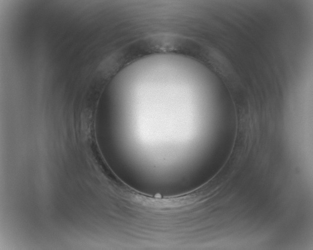 X0000056010030200508221506