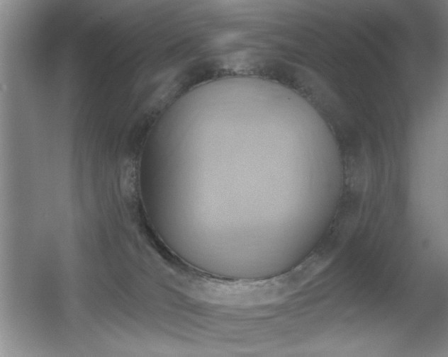 X0000056010036200508221506