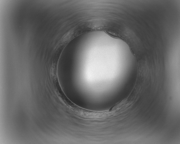 X0000056010044200508221506