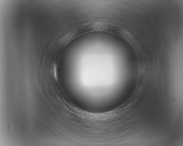 X0000056010046200508221506
