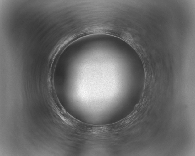X0000056010050200508221505
