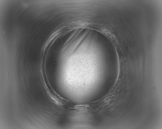 X0000056010051200508221505