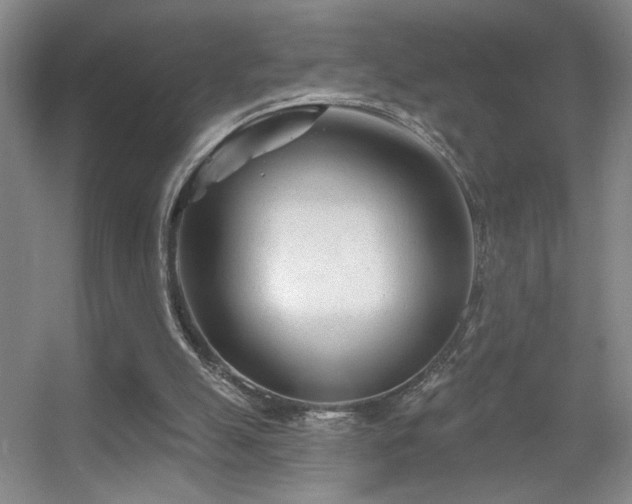X0000056010055200508221505