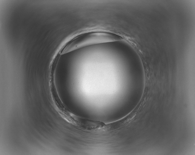 X0000056010056200508221505