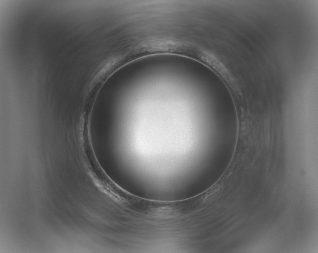 X0000056010058200508221505