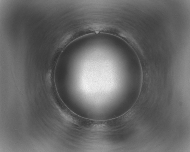 X0000056010066200508221505