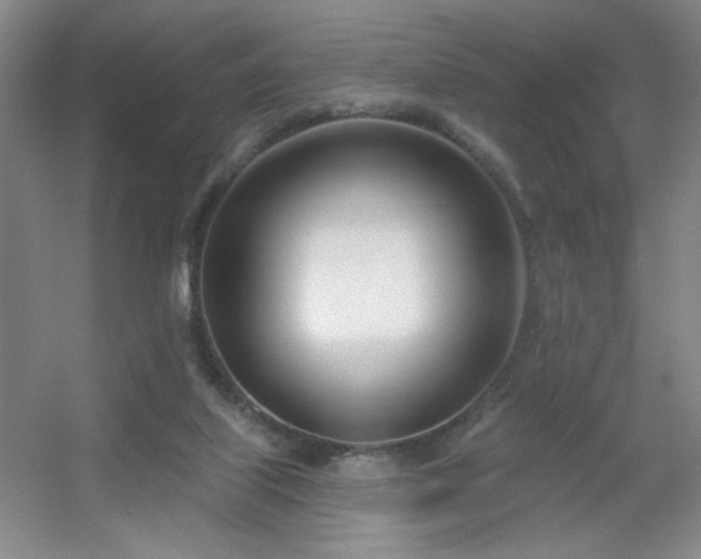 X0000056010067200508221505