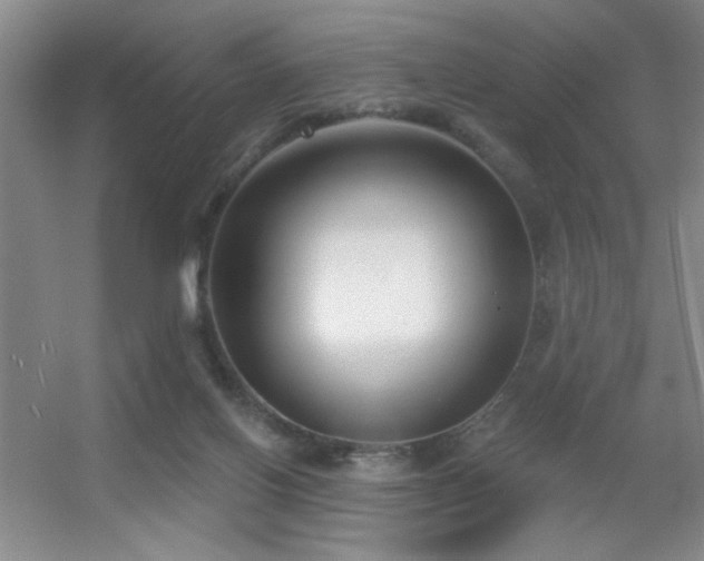 X0000056010070200508221505