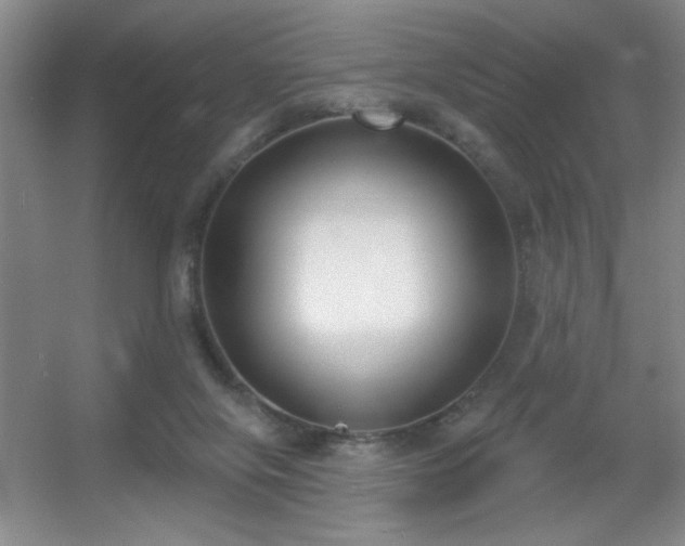 X0000056010071200508221505